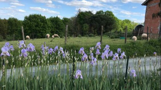 La Banne Nord Villa Val de Louyre et Caudeau Kültér fotó